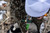 Green Head Rocker Green Head Rocker
