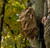 Day Pack - 1200 Day Pack - 1200