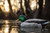 Mallard Floater Decoys Mallard Floater Decoys