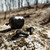 Disrupter Bluetooth Ear Buds Disrupter Bluetooth Ear Buds