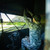 Infinity 2-Person Ground Blind Infinity 2-Person Ground Blind