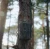 Fusion™ Max 3.0 Cellular Trail Camera – 2-Pack