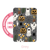Spooky Town MagSafe Rose Pocket