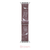 Boot Scoot Apple Watch Band