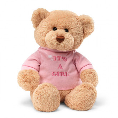 Gund It's A Girl Teddy Bear