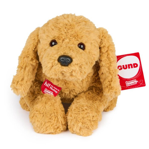 Muttsy