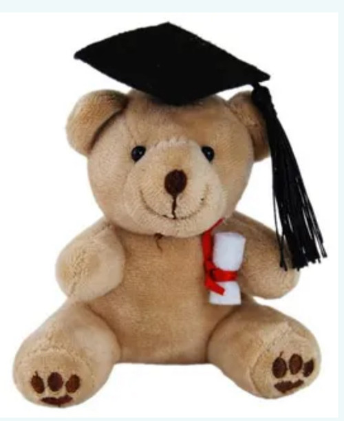 Elka Australia Graduation Teddy Bear 24090