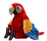 Ari Scarlet Macaw