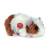 Hermann Guniea Pig 926191