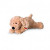Hermann Teddy Collection Floppy Dpg 919285