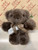 Tambo Teddies Toby Latte