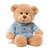 It's A Boy Teddy Bear Gund