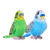 Wild Republic Budgerigar 28279
