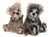 Charlie Bears Pebbleshire & Humblebee