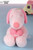 VIPO Peanuts Blind Box Keyring Pink Snoopy SP37488