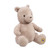 Rainbow Designs Classic Winnie the Pooh 100th Anniversary Plush Teddy Bear DN2476
