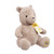 Rainbow Designs Classic Winnie the Pooh 100th Anniversary Plush Teddy Bear DN2476
