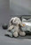 Steiff Hoppie Rabbit Light Grey 080470