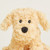 Intelex Warmies Junior Cockapoo AUS-JUN-DOG-1