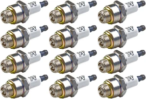 Briggs and Stratton 796112-12PK Spark Plug 12 Pack J19LM, RJ19LM, 802592