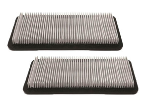 Oregon 30-704 (2 Pack) Air Filter Replaces Homelite 17218-ZOA-810, 17218-ZOA-00