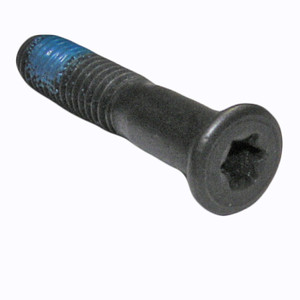Bosch Genuine OEM Replacement Screw - 1619X01531