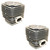 Echo 2 Pack Genuine OEM Cylinders for PB-580H Leaf Blower A130002250-2PK