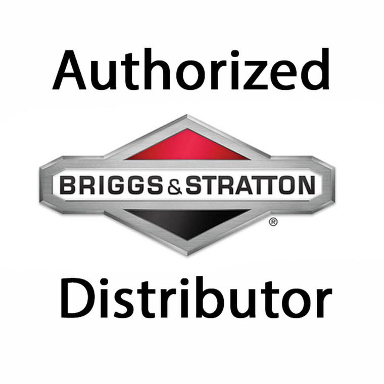 Briggs and Stratton Genuine OEM Fuel Filter for 19E400 Lawn Mower - 394358B