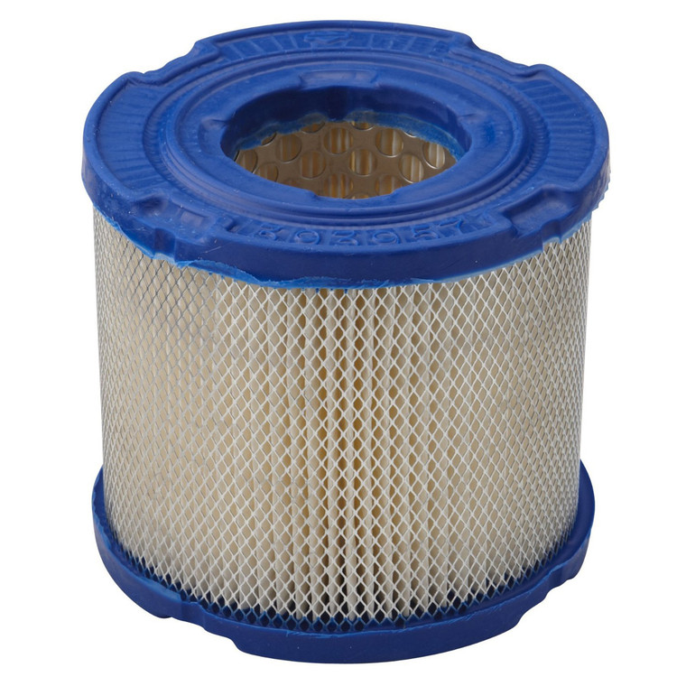 Briggs and Stratton 393957S Round Air Filter Cartridge