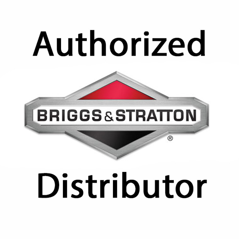 Briggs and Stratton Genuine OEM Fuel Filter for 19E400 Lawn Mower # 394358B