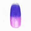 Meliney Temperature Gel Polish 21