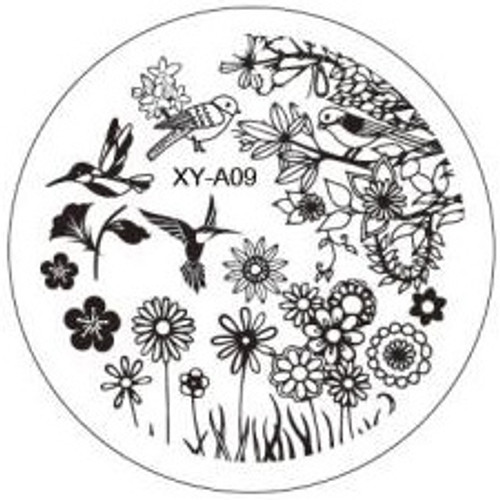 XY-A09 Image Plate