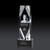 3D Crystal Delta Award - Black Base