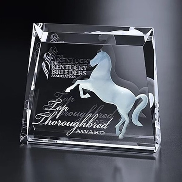 3D Crystal Newberry Award