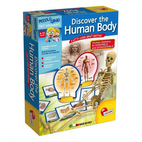 Discover The Human Body
