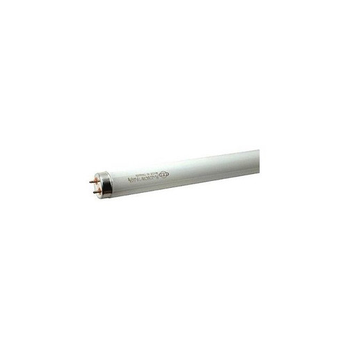 36W T8 Warm White Tube - Sylvania