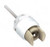 Halogen Lamp Holder W/Screw