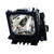 SHARP PG-D50X3D Projector Lamp