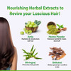 henna, Black henna, organic hair color, hemani, teamrahenna, Black henna, organic hair color, hemani, teamra, kena e zeze, kena bimore, kena indigo, kena nero blue, kena e zeze pa amoniak, boje flokesh natyrale