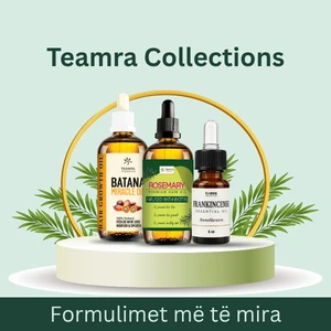 https://teamra.al/teamra/