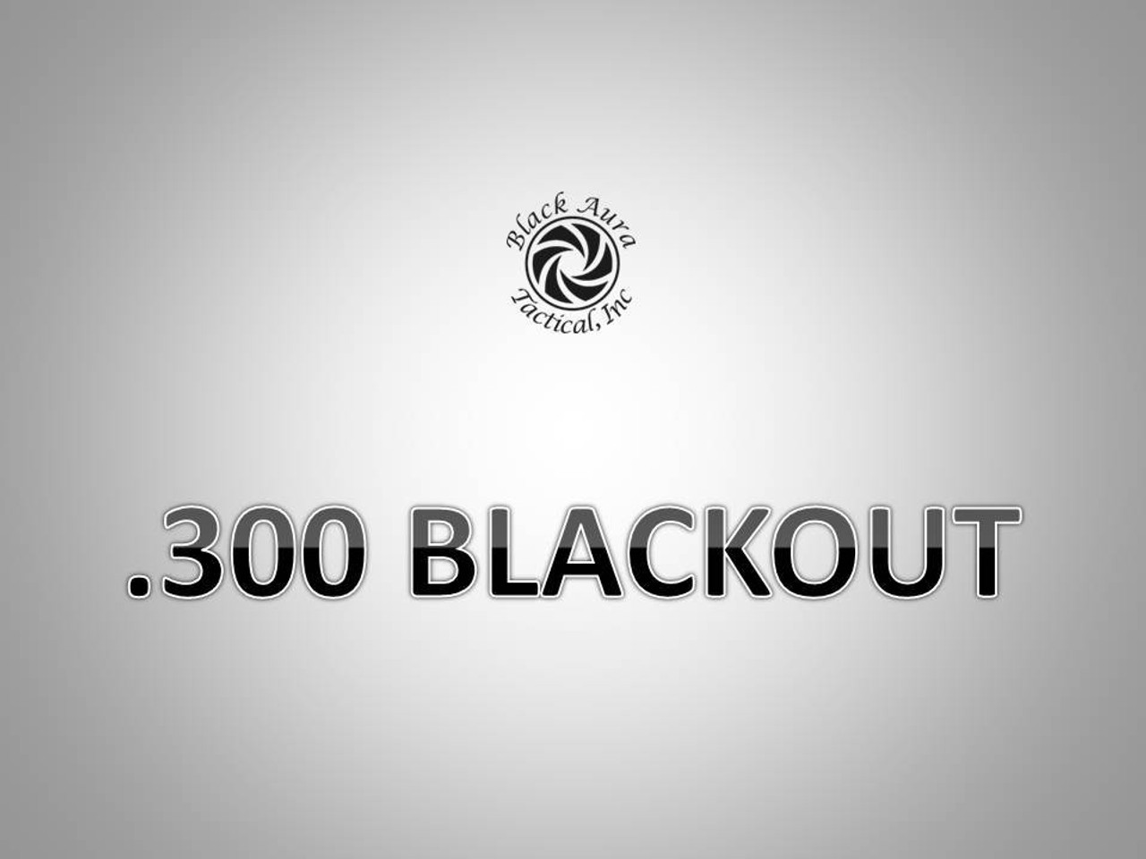 .300 Blackout