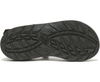 Chaco Men's Z Cloud 2 Sandal - Essence Java