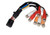 Fusion 010-12812-01 Loom B Port-RCA, Zone 1+2, FusConn