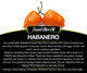 habenaro