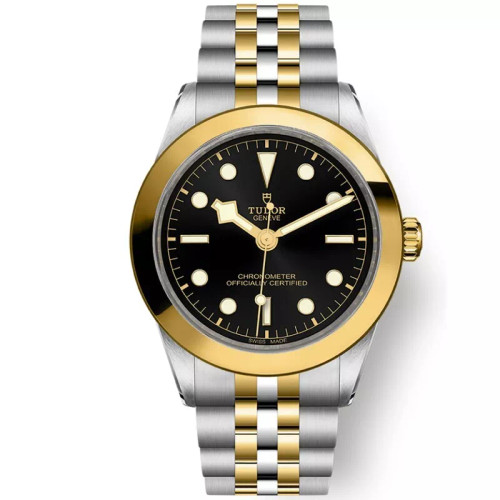 New Tudor Black Bay S&G 39MM Black Dial Yellow Gold Steel M79663-0001 New Tudor Black Bay S&G 39MM Black Dial Yellow Gold Steel M79663-0001