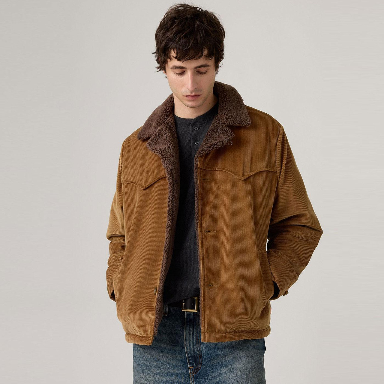 Durham Levi's® Cozy Sherpa Lined Cord Short Coat