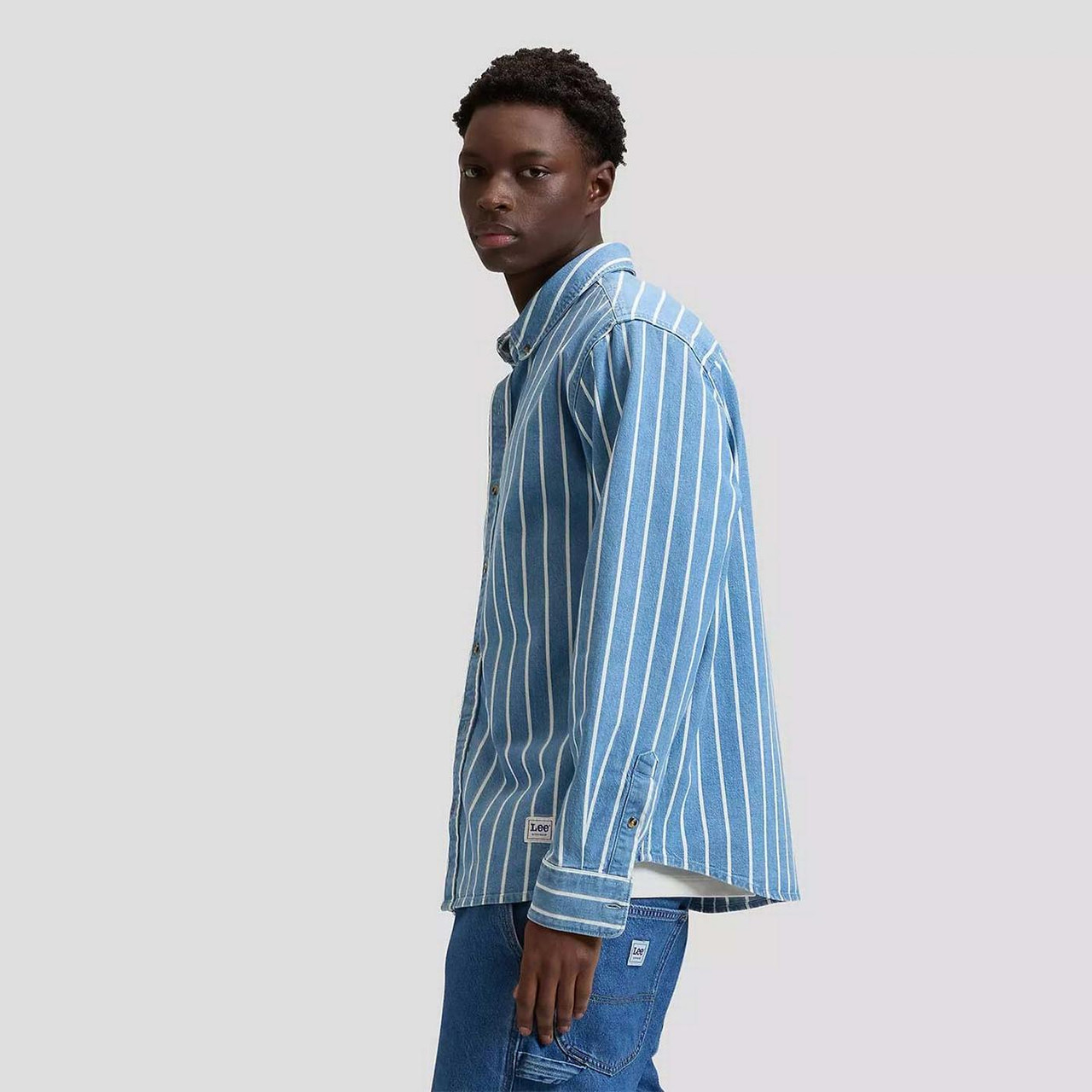 Lee Workwear Men's Denim Stripe Button Down Shirt in Blue