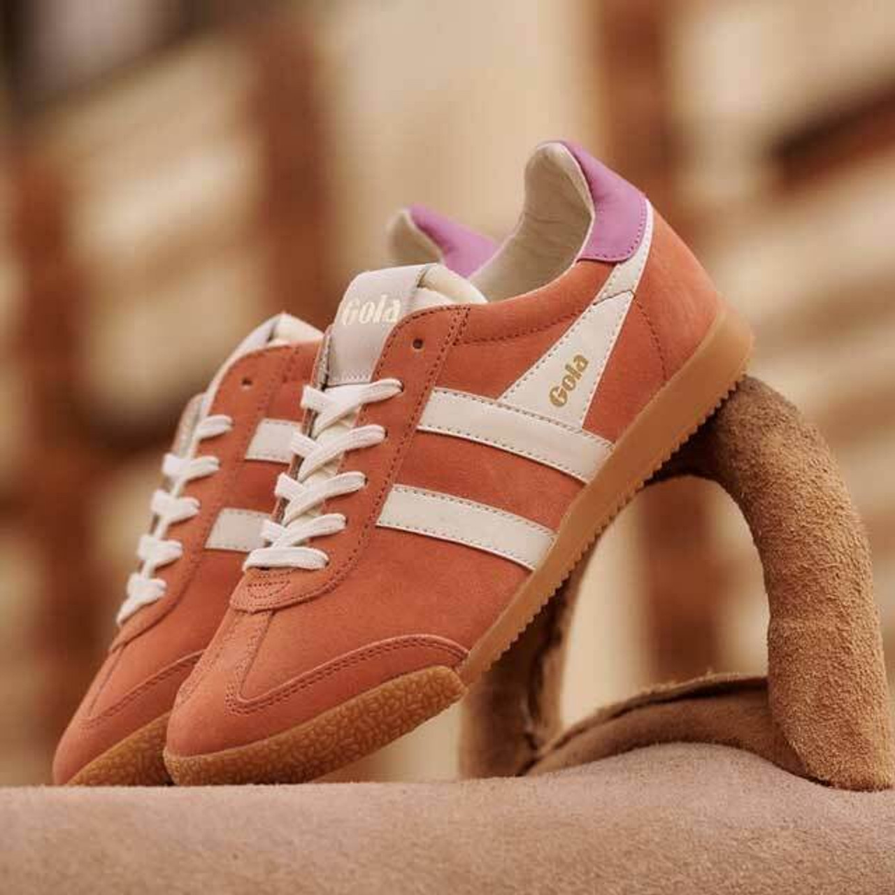 Trainers Trainers