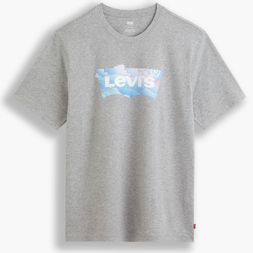 Levi's HM Batwing Clouds Retro Tee in Grey