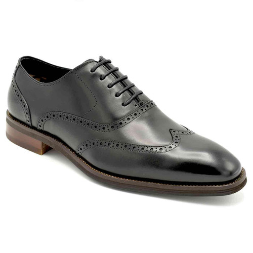 Paolo Vandini Newton Oxford Wingtip Brogues in Black